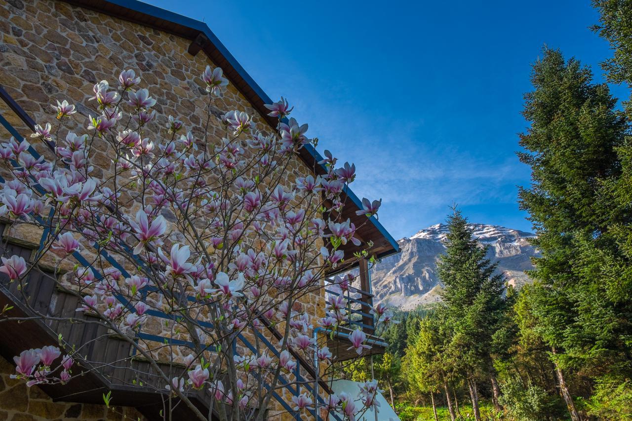 Orizontes Tzoumerkon Hotel Resort برامانتا المظهر الخارجي الصورة