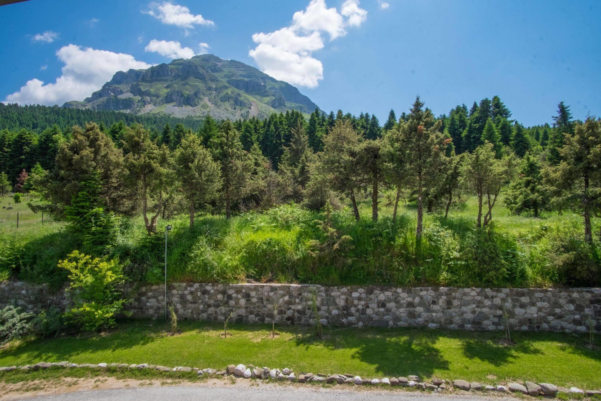 Orizontes Tzoumerkon Hotel Resort برامانتا المظهر الخارجي الصورة